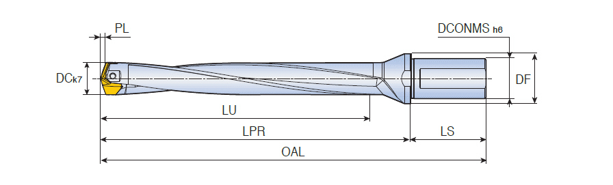 LCD 300-309-32T2-8D